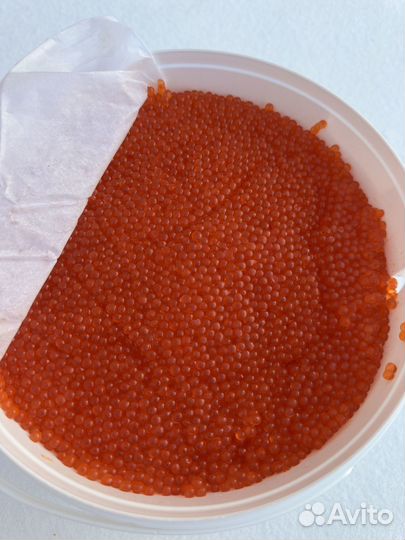 Икра форели