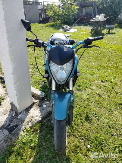Stels Flex 250