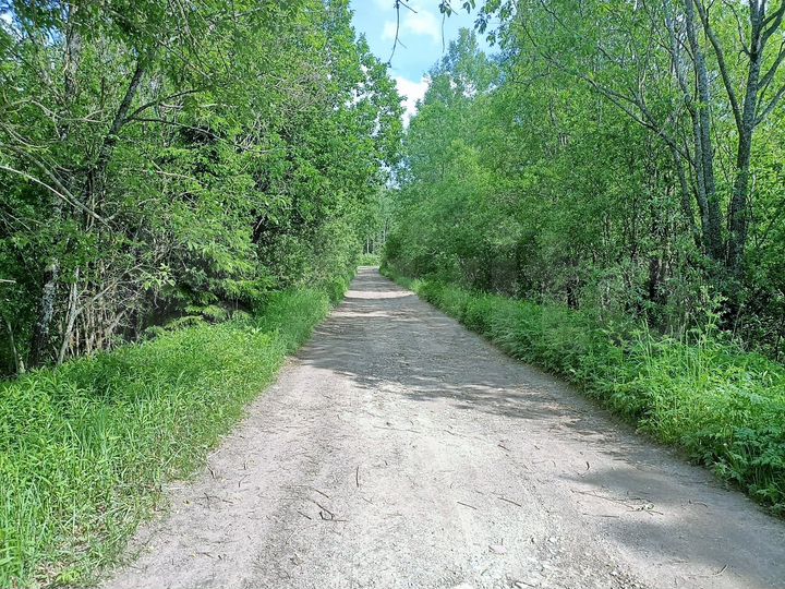 Участок 15 сот. (ИЖС)
