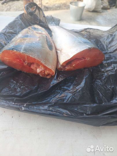 Кета свежемороженая