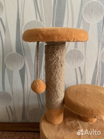 Домик для кошки с когтеточкой бу