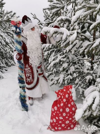 Дед Мороз и снегурочка