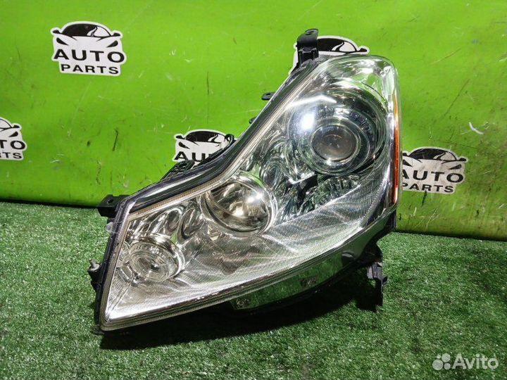 Фара nissan fuga PY50 VQ35DE 2006 Перед. Лев