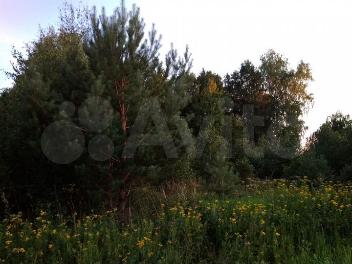 Участок 18,9 сот. (СНТ, ДНП)