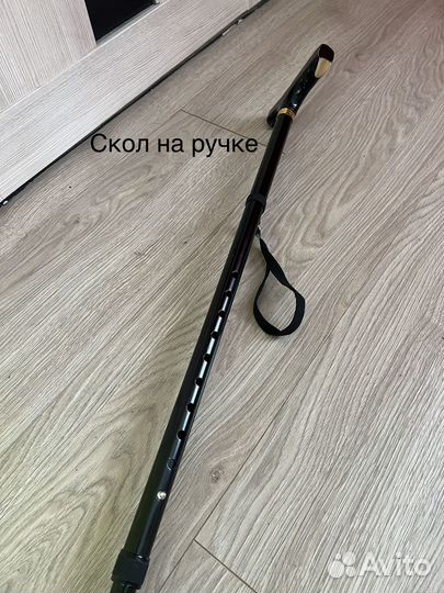 Трость