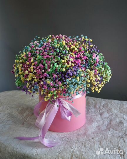 Гипсофила в коробке