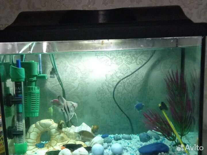 Аквариум