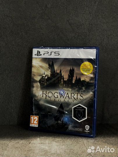 Игра Hogwarts Legacy PS 5 (Диск)