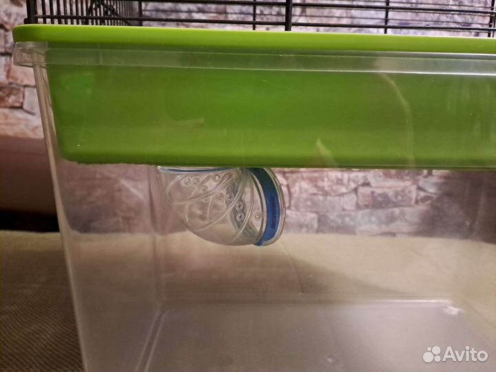 Клетка-аквариум