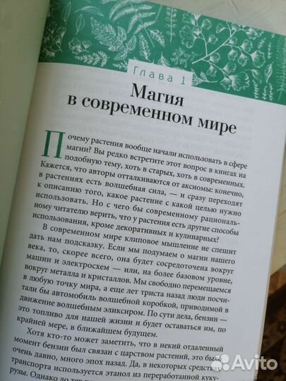 Дикие растения - руководство для ведьмы