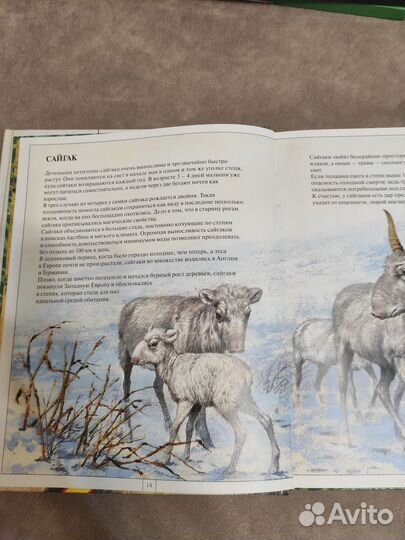 Книги о животных. Атлас мира для школьника