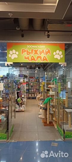 Продавец-кассир в зоомагазин