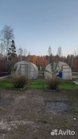 Парники теплицы бу 7 лет