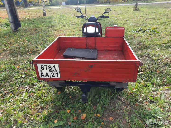 Продаю муравей