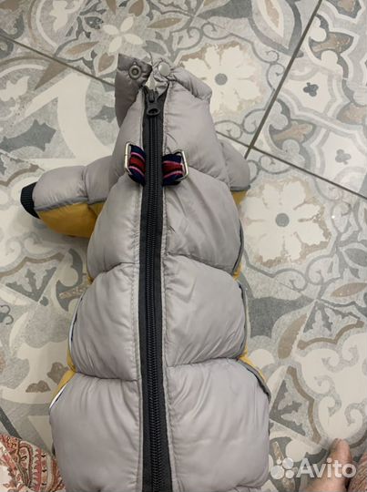 Комбинезон для собак мелких пород