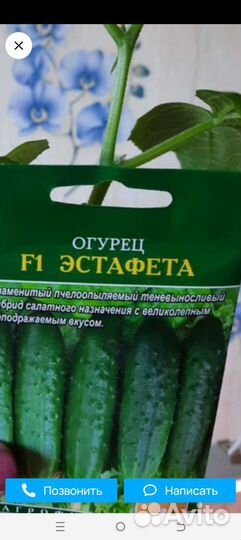 Огурец эстафета