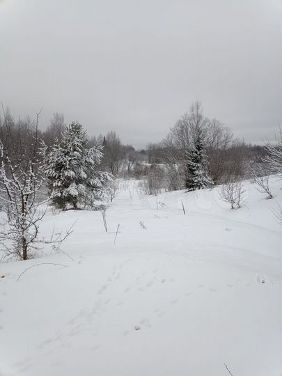 Участок 12 сот. (ИЖС)