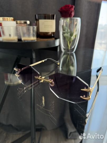 Солнцезащитные очки roberto cavalli