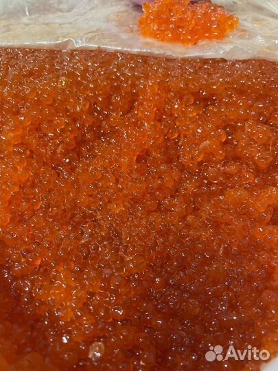 Икра малосольная Красная икра Кеты Горбуши Нерки