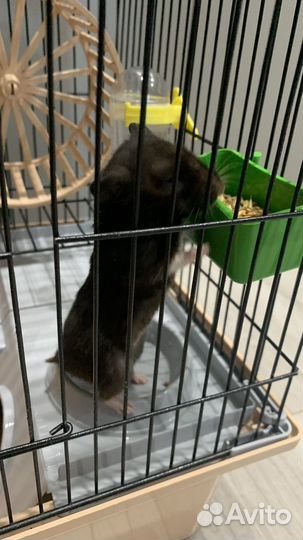 Клетка для грызунов