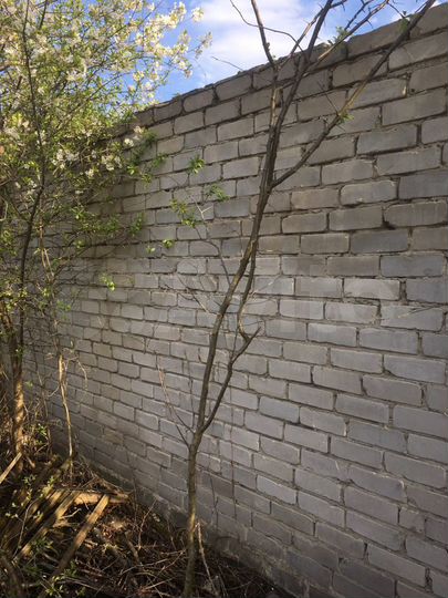 Дача 20 м² на участке 4 сот.