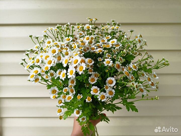 Букет в наличии