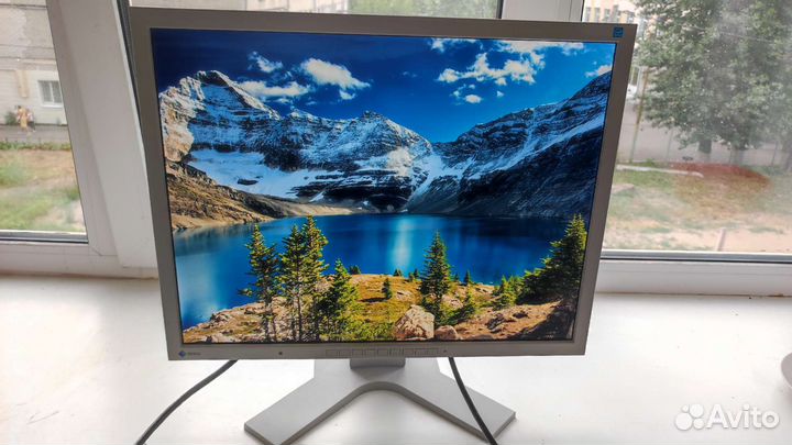 Монитор flexscan s2133