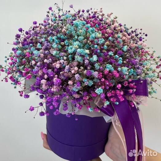 Гипсофила Princess в коробке