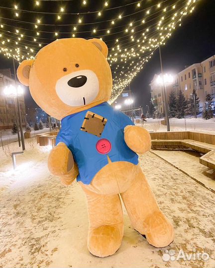 Живая открытка поздравление от мишки Тедди