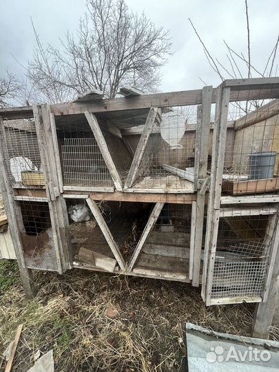 Клетка для кролика