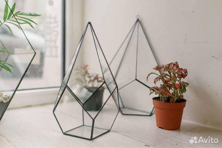 Купить флорариум. Мастер-класс