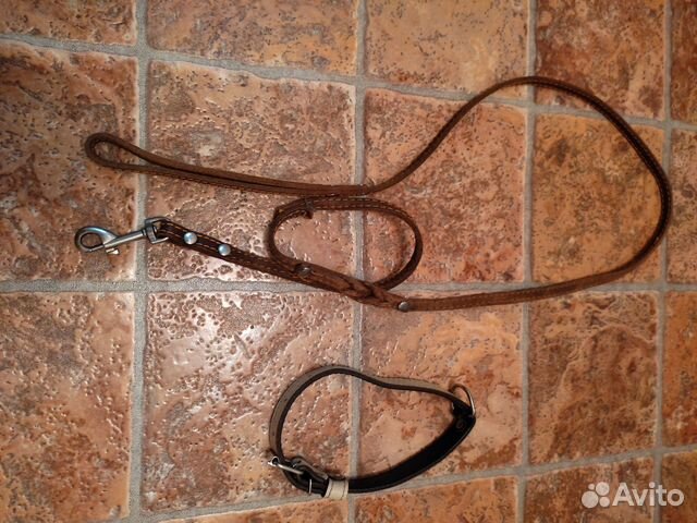 Ошейник /поводок/одежда/кольцо