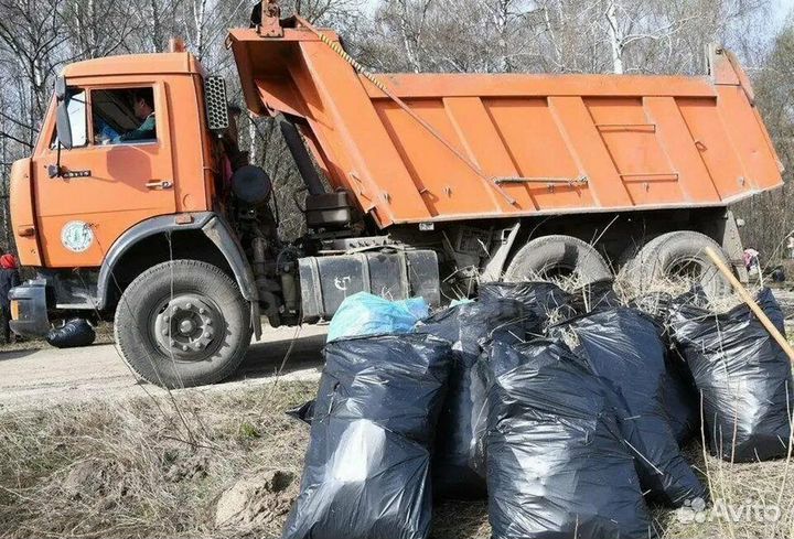 Вывоз мусора и утилизация старой мебели