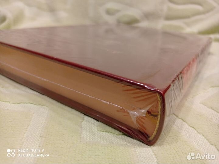 История одного города, Верже кожа