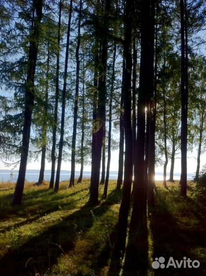 Работа С недвижимостью