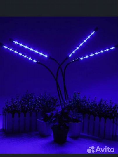 Фитолампа для растений