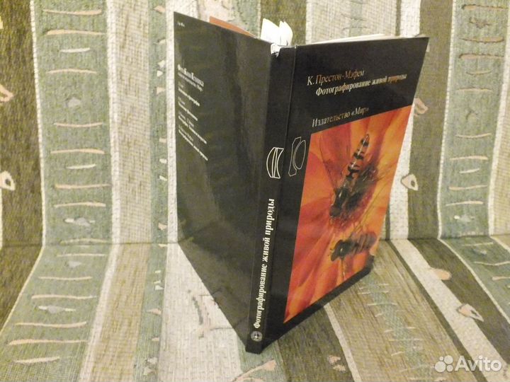 К. Пресстон-Мэфем 