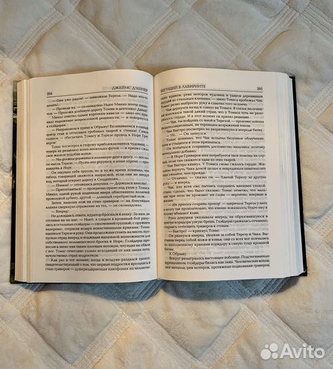 Книга «Бегущий в лабиринте»