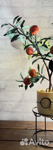 Мандариновое дерево декоротивное светильник объявление продам