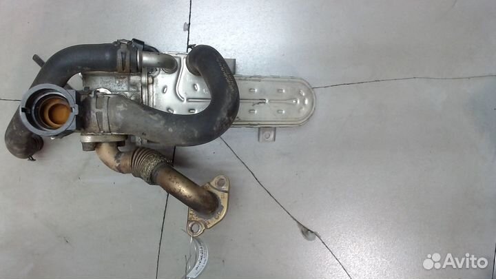 Охладитель отработанных газов Volkswagen Golf Plus