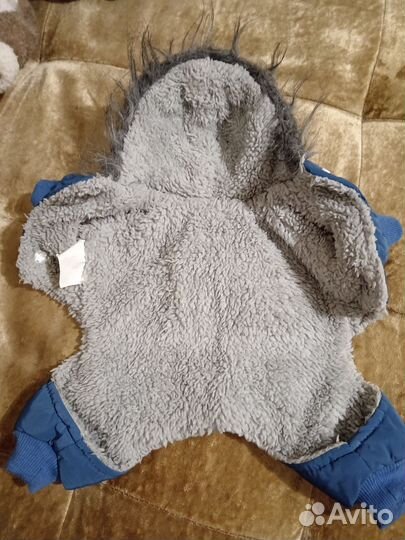 Одежда для собаки