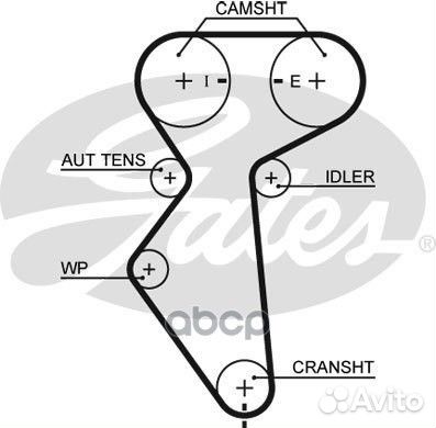 Ремень грм 127x25 Chevrolet, Daewoo 16V 5419XS