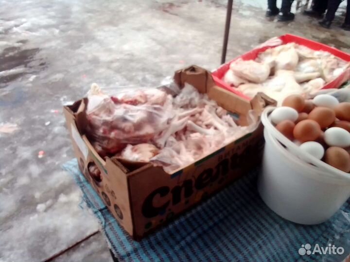 Домашний бройлер