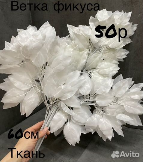 Ветка фикуса,оливы,березы,эвкалипта,рускуса