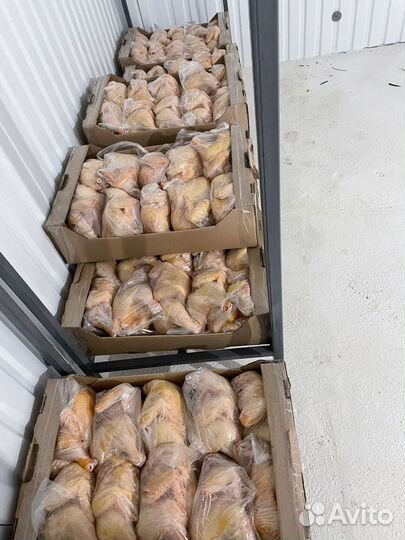 Куры бройлеры тушки мясо