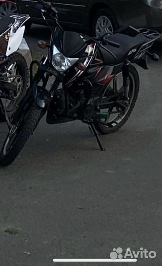 Альфа спорт 125