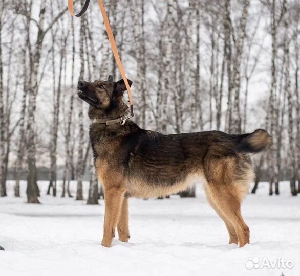 Зира мечтает познакомится с Вами