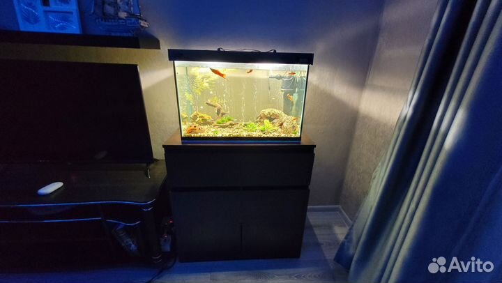 Аквариум 70 л. + оборудование + рыбки