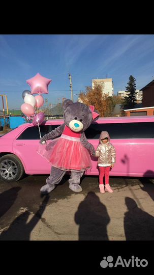 Поздравления от Мишки Тедди