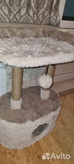 Когтеточка